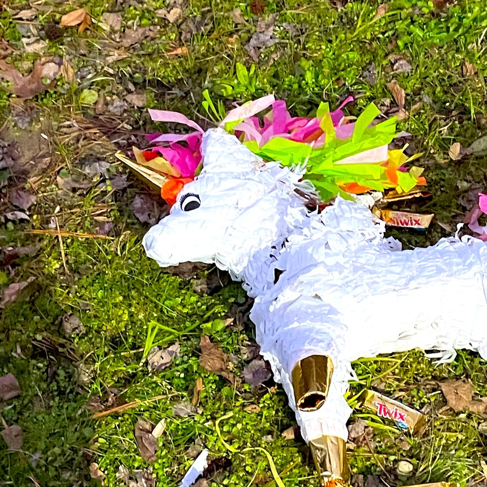 Meet your Posher, Amber